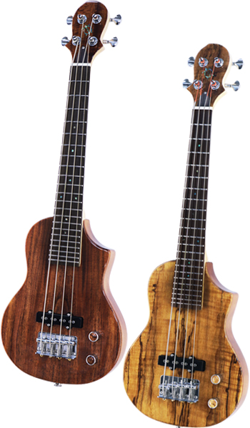 Big Island Ukulele EUL ACA  N