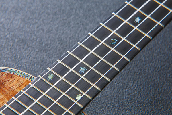 Big Island Ukulele KSX CTG Big Island Ukulele KSX CTG