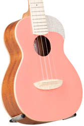 aNueNue UC10 Living Coral aNueNue UC10 Living Coral