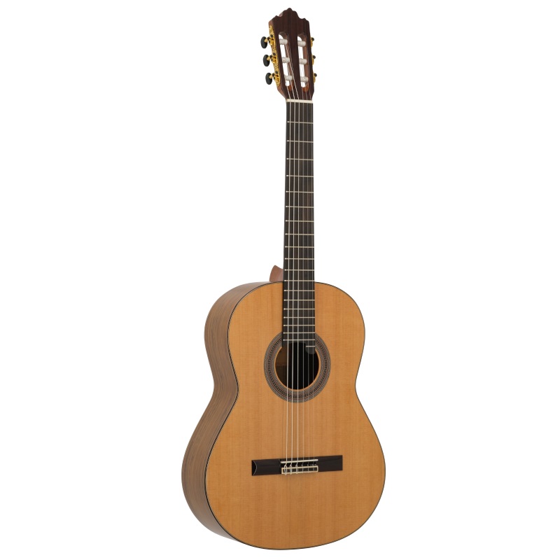 Prodipe Guitar SOLOIST 900 EQ Prodipe Guitar SOLOIST 900 EQ