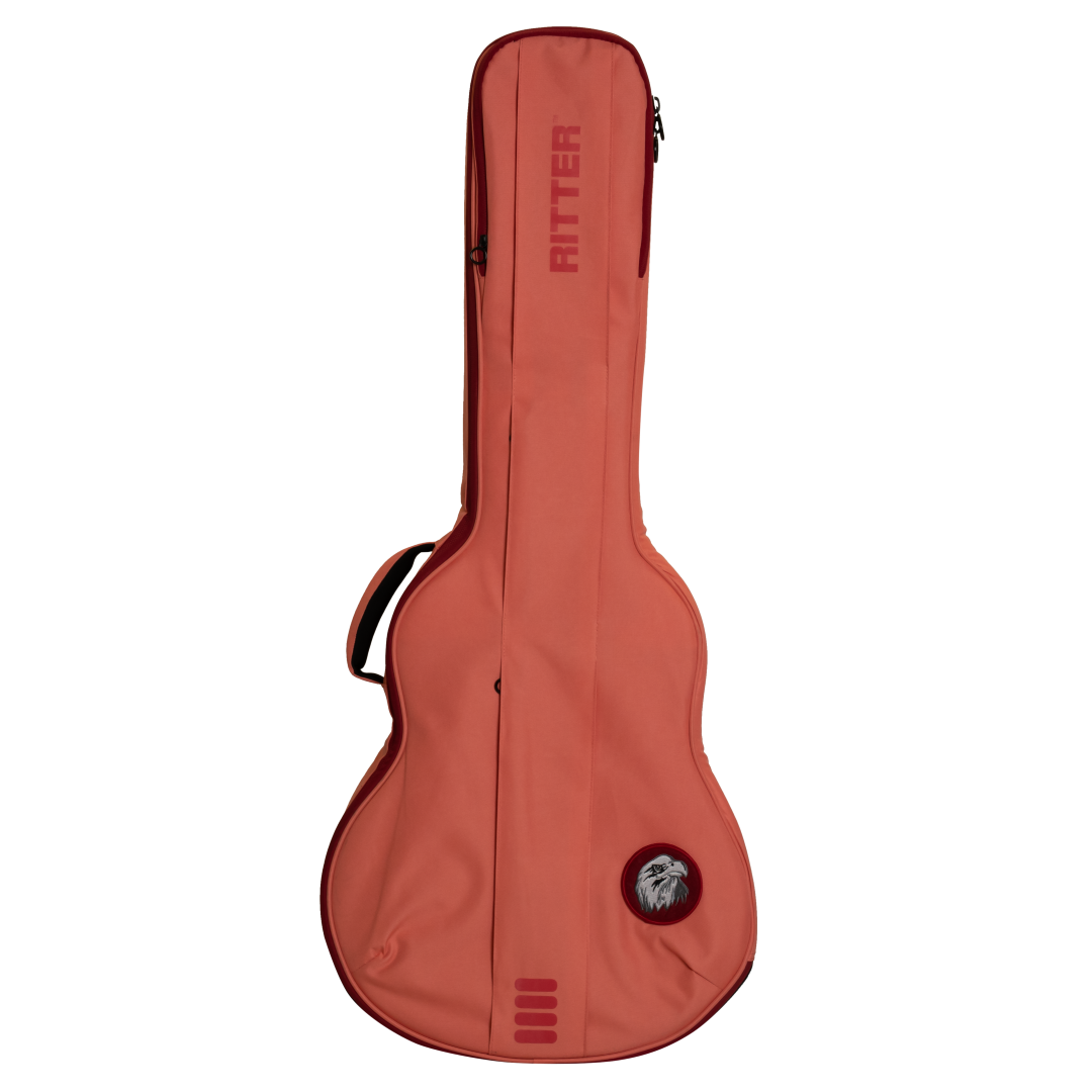 Ritter Gigbag Bern 335 Guitar 