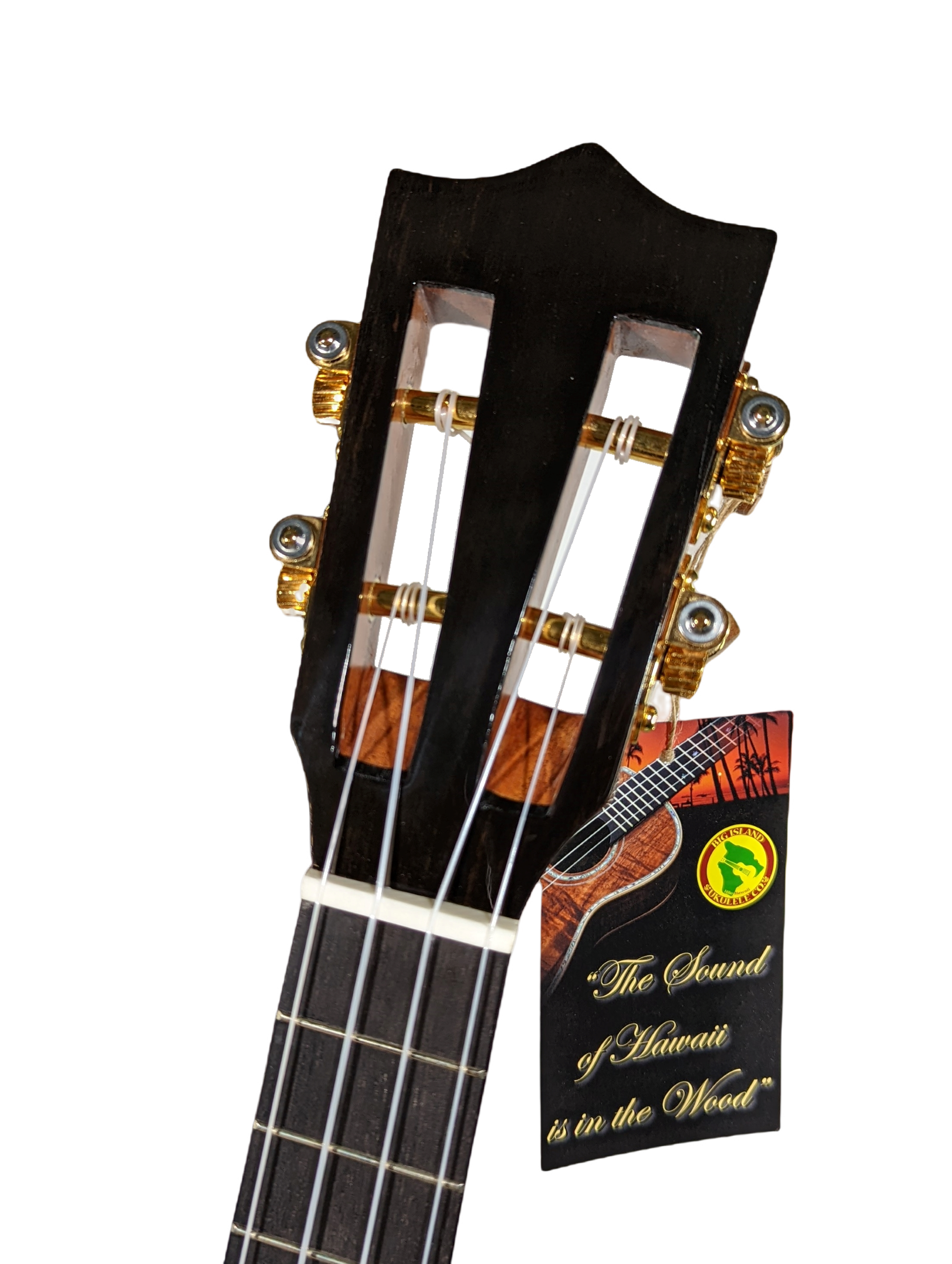 Big Island Ukulele KSX CTG