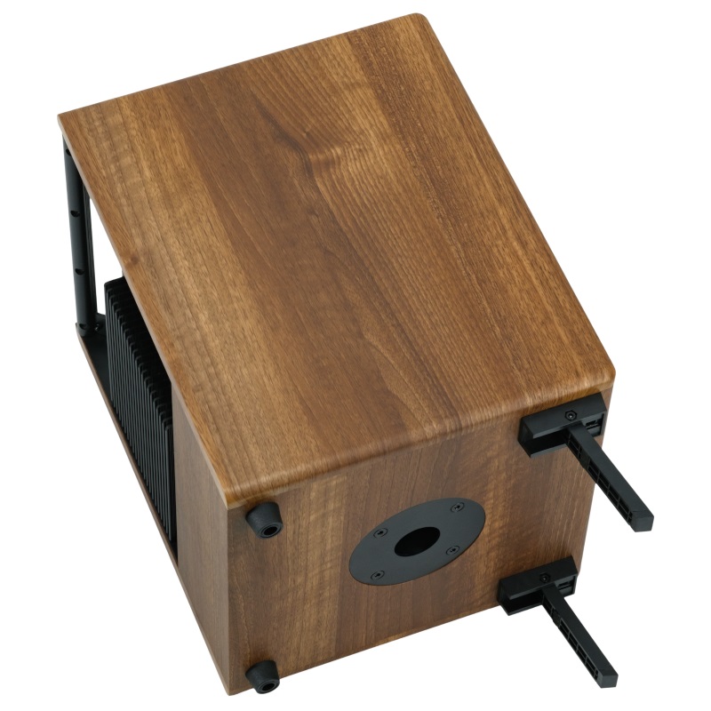 Prodipe Amp Natural 6v2 Walnut Wood Prodipe Amp Natural 6v2 Walnut Wood