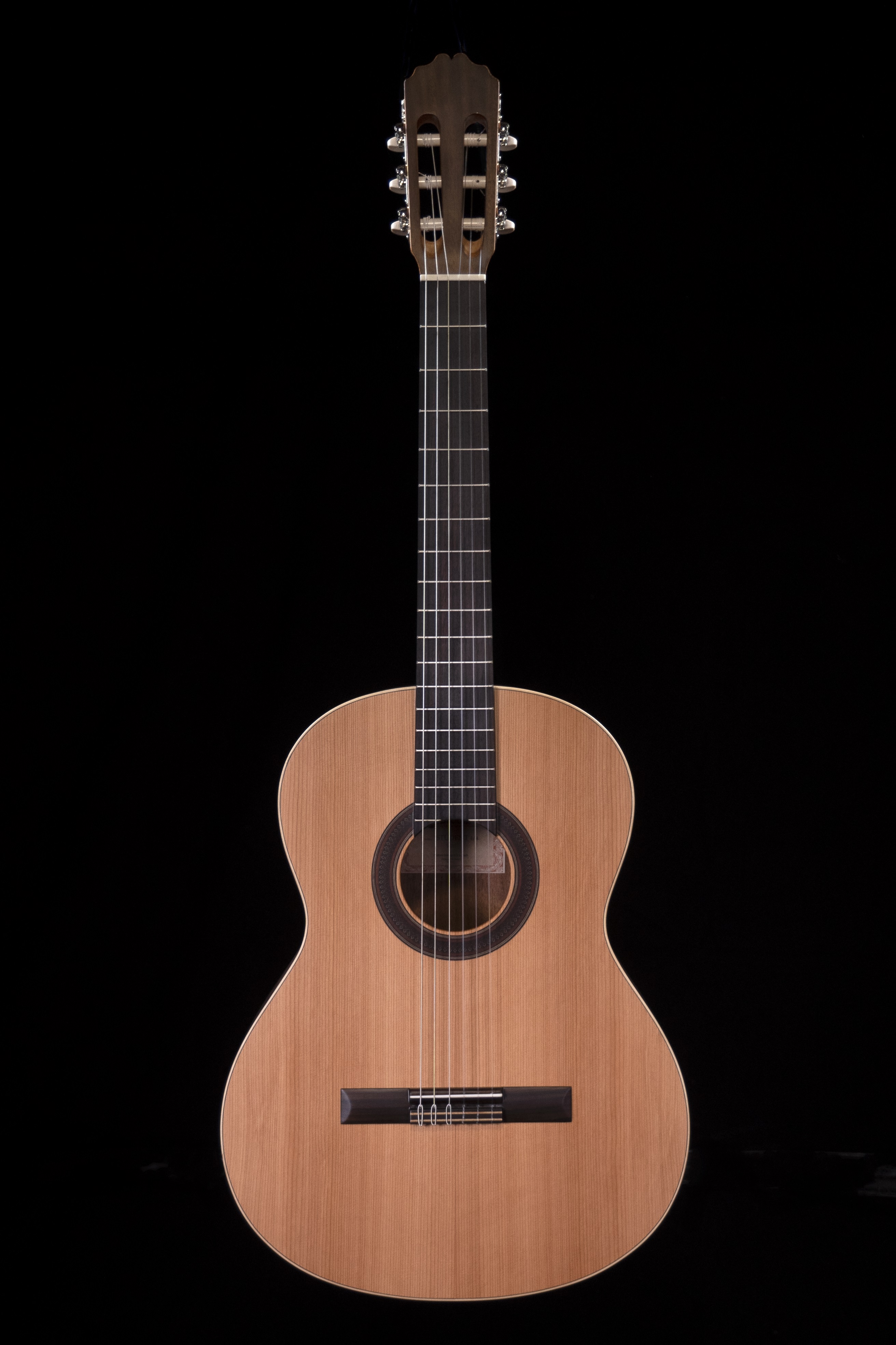 Prodipe Guitar STUDENT 4/4 Prodipe Guitar STUDENT 4/4