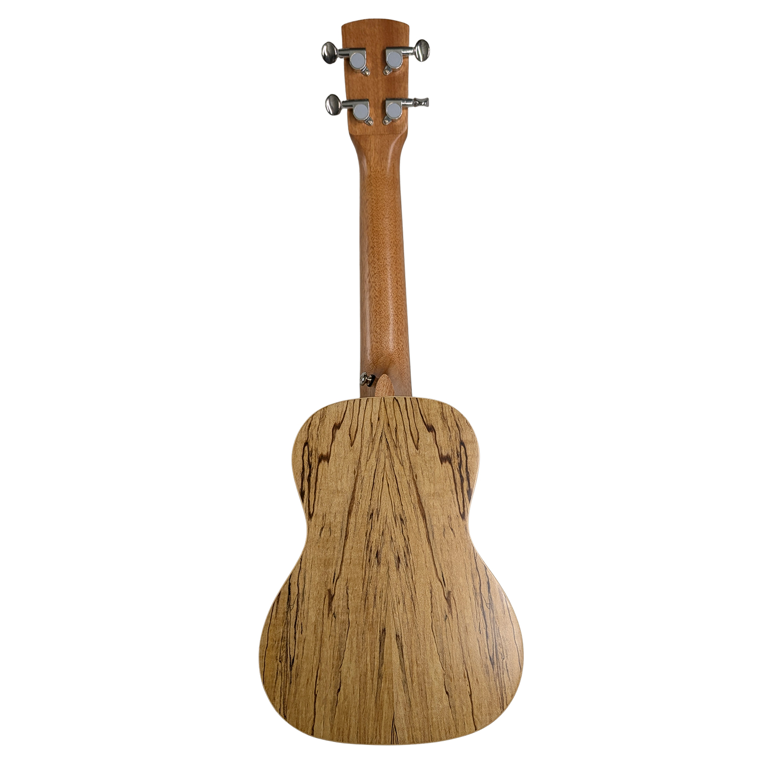 Shape Ukulele Konzert Spalted Maple, W38 
