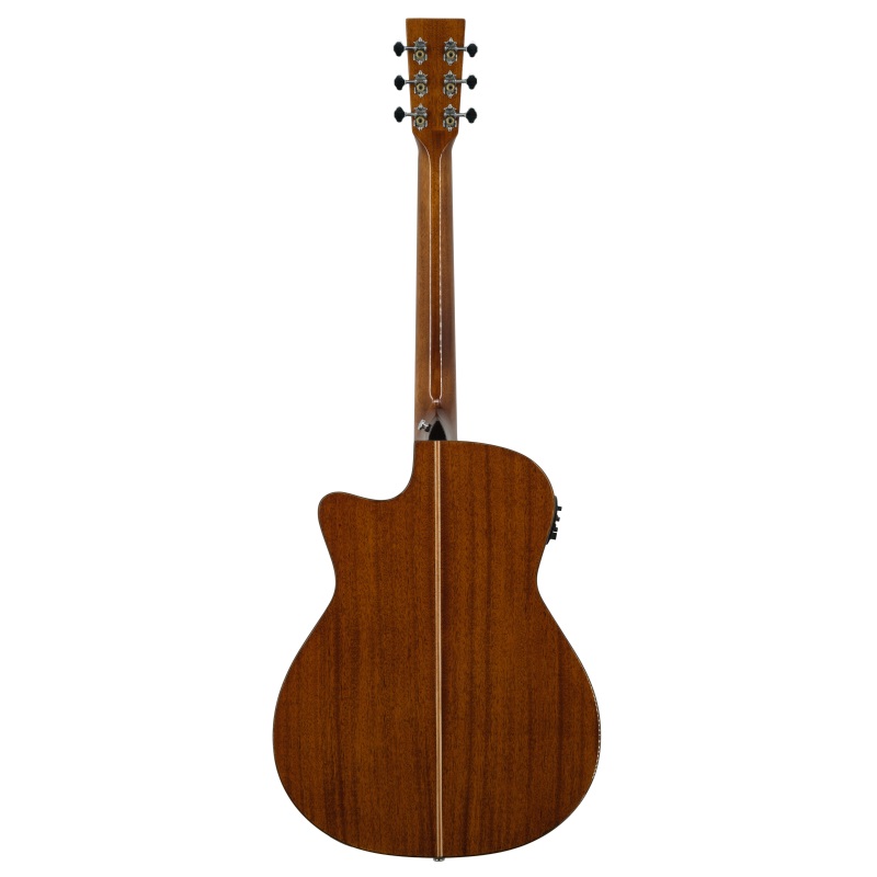 Prodipe Guitar Auditorium SA300 CEQ Prodipe Guitar Auditorium SA300 CEQ