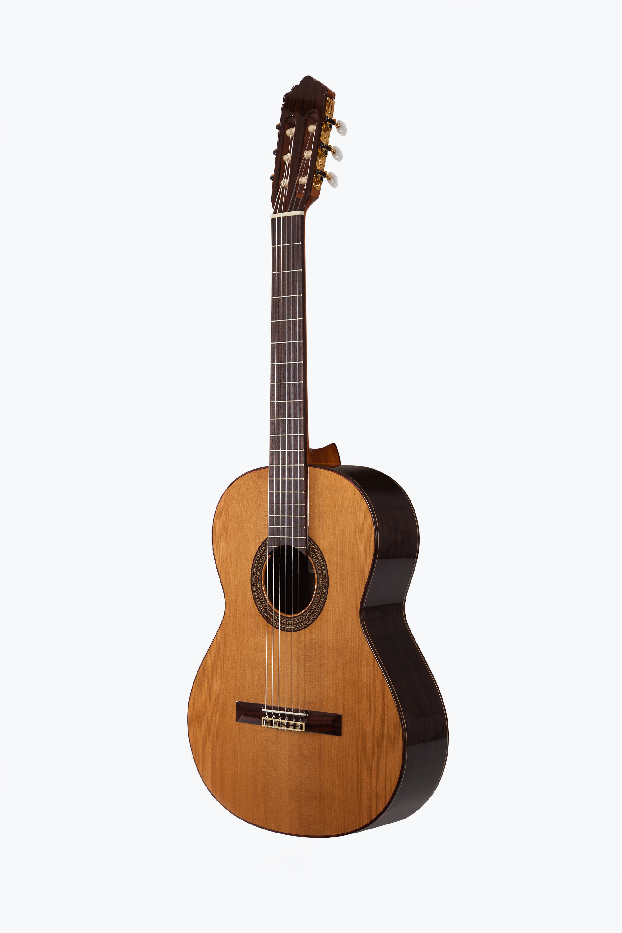 Prodipe Guitars SOLOIST 500 Prodipe Guitars SOLOIST 500