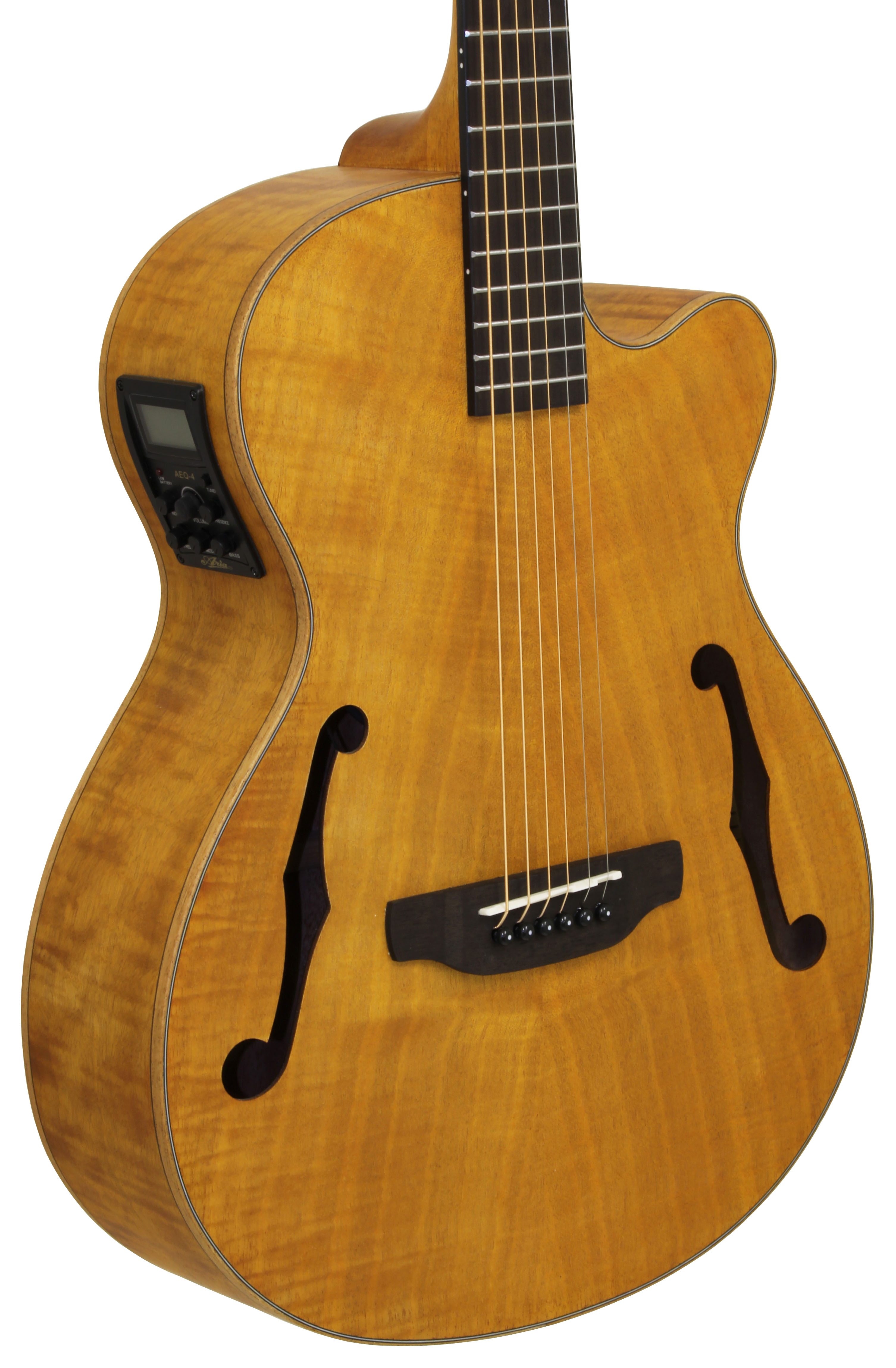 fetf2_stbr_body Aria FET F2, stained brown