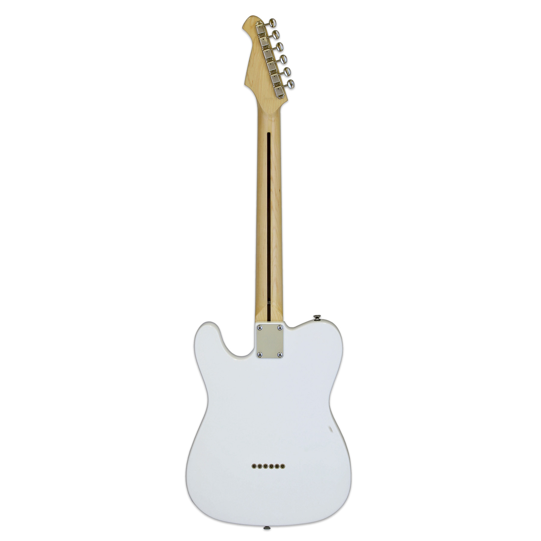 Aria TEG Thinline Telecaster, tortoise white