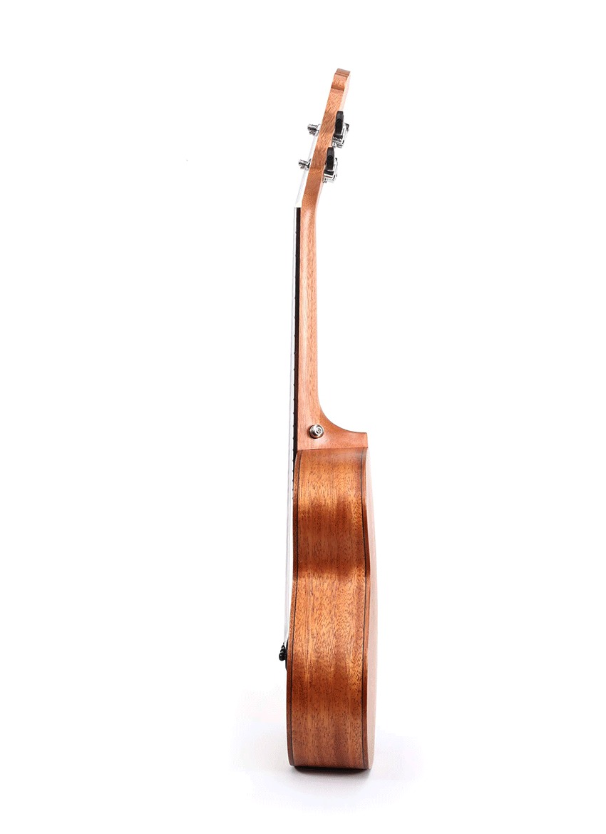 Bearlele Snow - Konzert Ukulele inkl. stabilem Gigbag Bearlele Snow - Konzert Ukulele inkl. stabilem Gigbag