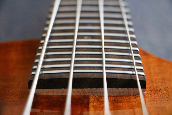 Big Island Ukulele EUB ACA N