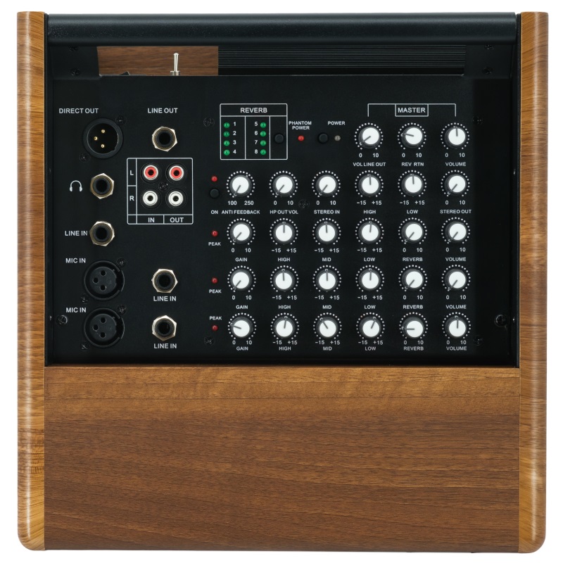 Prodipe Amp Natural 6v2 Walnut Wood Prodipe Amp Natural 6v2 Walnut Wood