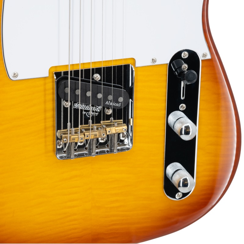 Prodipe Telecaster TC90, alder flame top honey burst