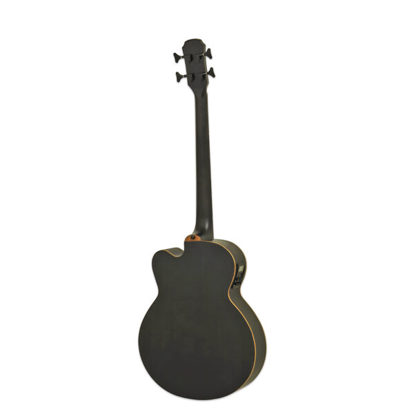 Aria FEB F2M/FL, stained black Aria FEB F2M/FL, stained black