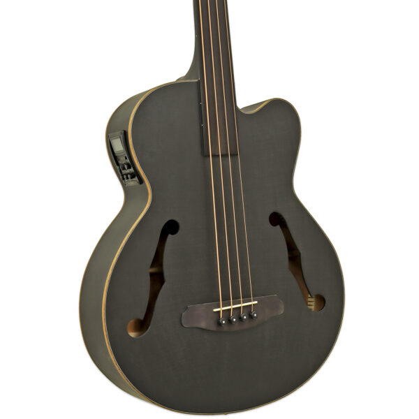 Aria FEB F2M/FL, stained black Aria FEB F2M/FL, stained black