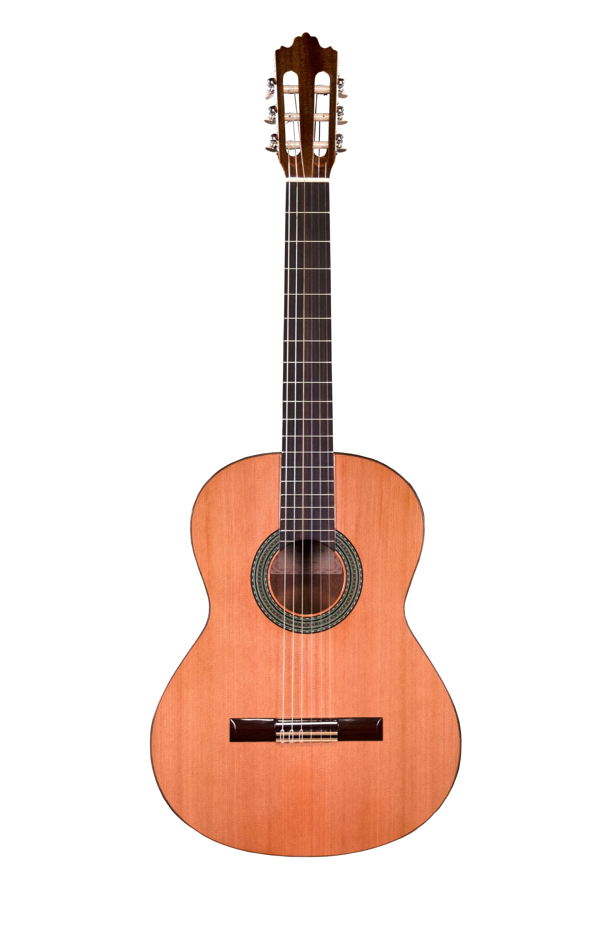 Prodipe Guitars RECITAL 300