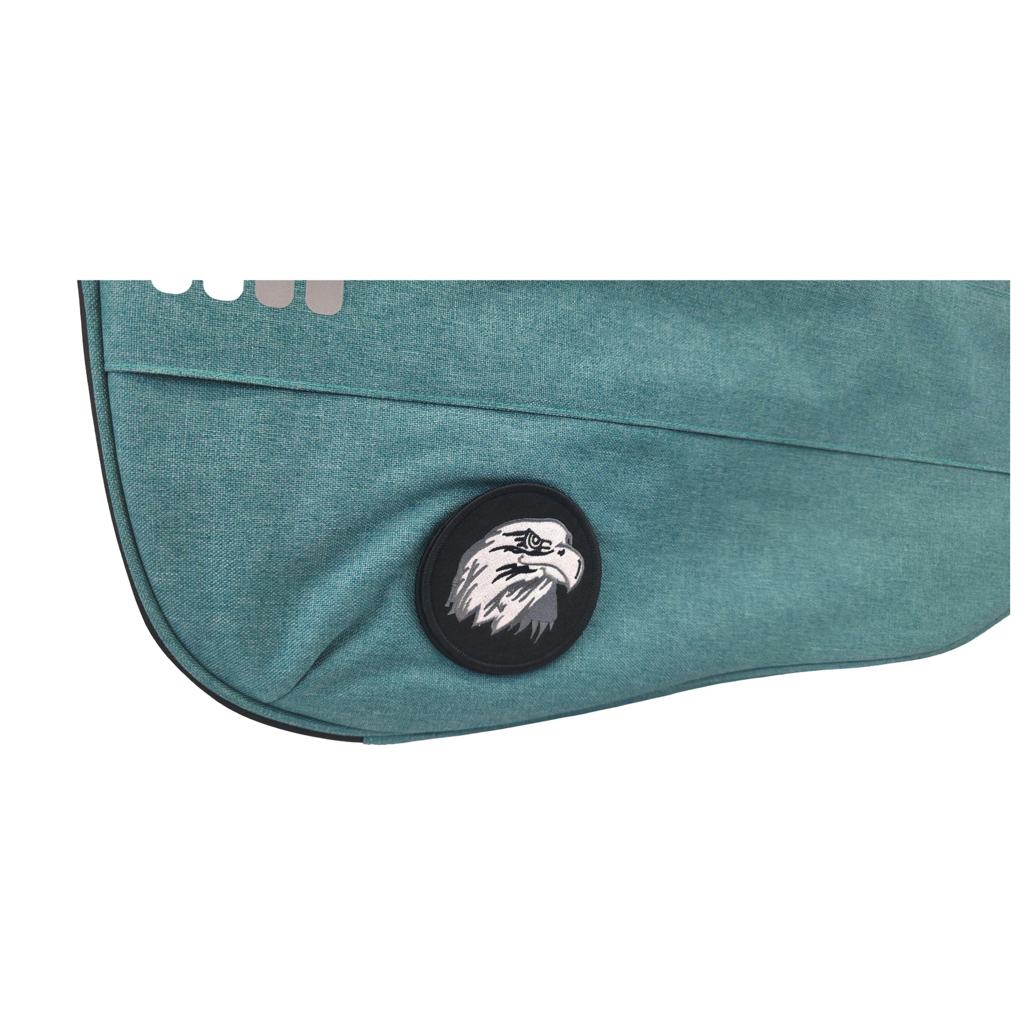 Ritter Gigbag Bern Dreadnought Guitar, Aqua Green