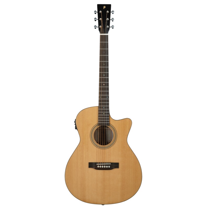 Prodipe Guitar Auditorium SA300 CEQ Prodipe Guitar Auditorium SA300 CEQ