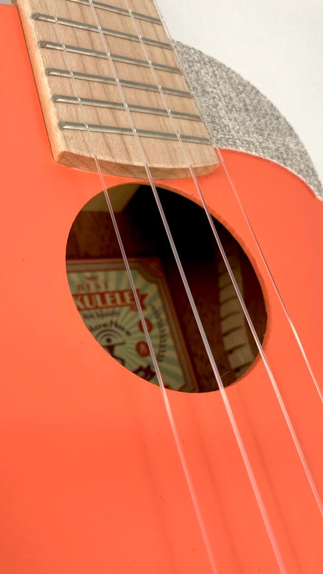 aNueNue US10, living coral