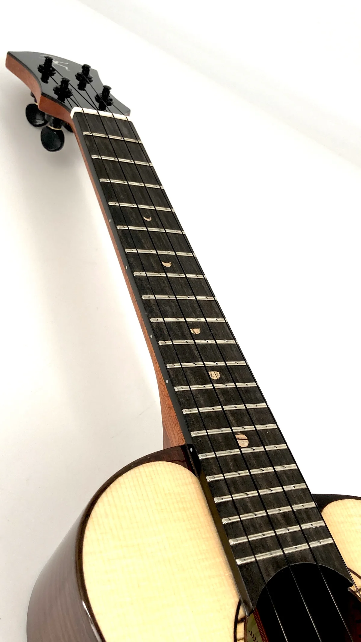 aNueNue UC200 Moonbird Concert aNueNue UC200 Moonbird Concert