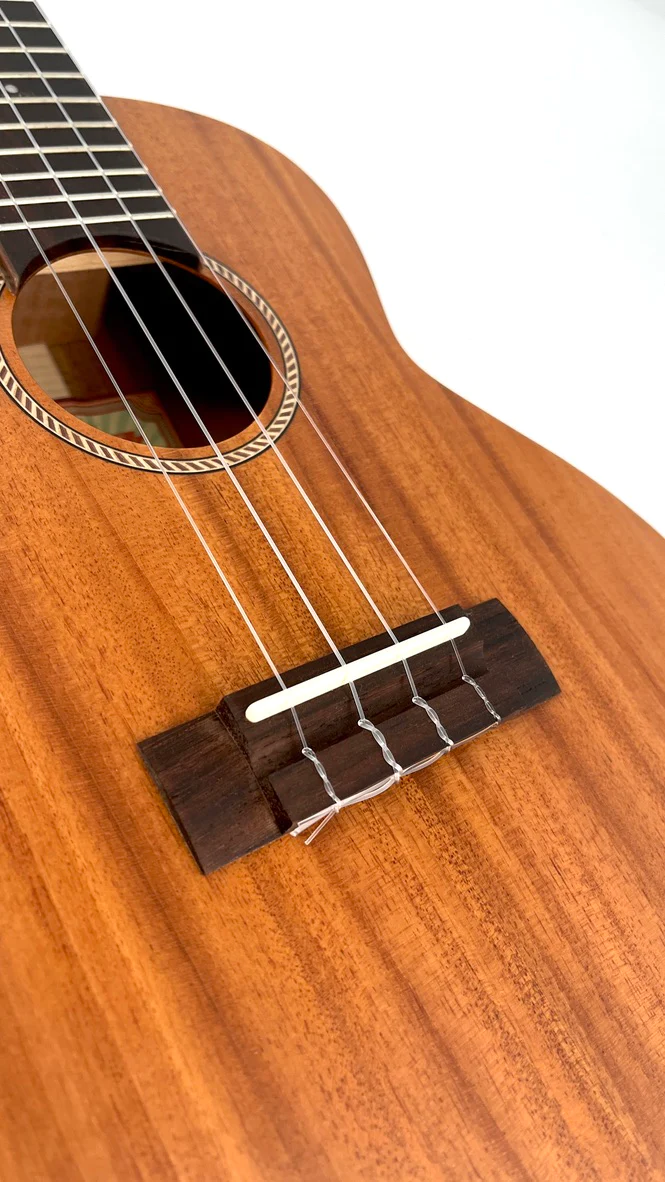 aNueNue C30E Konzert Ukulele mit Tonabnehmer