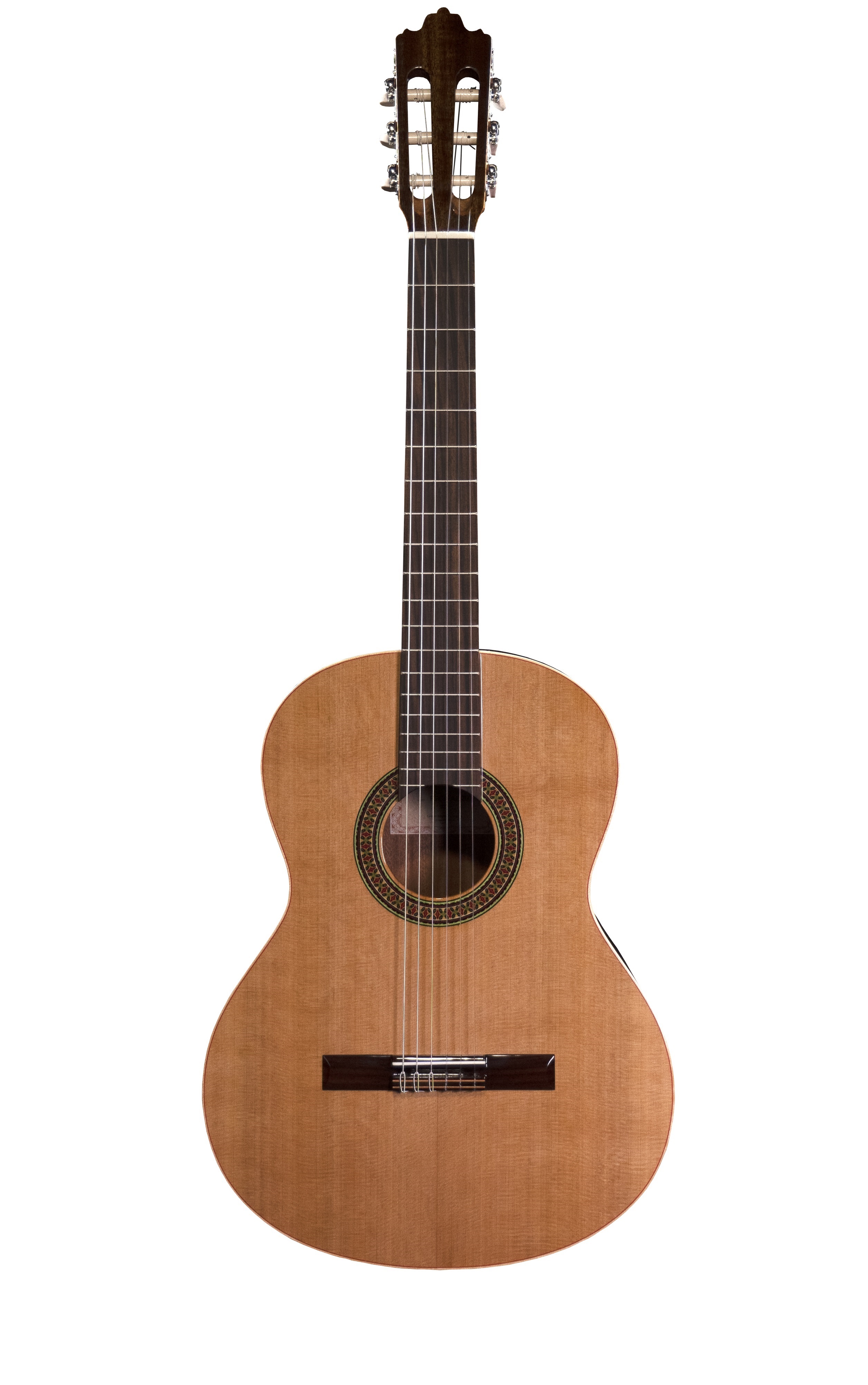 Prodipe Guitars RECITAL 200