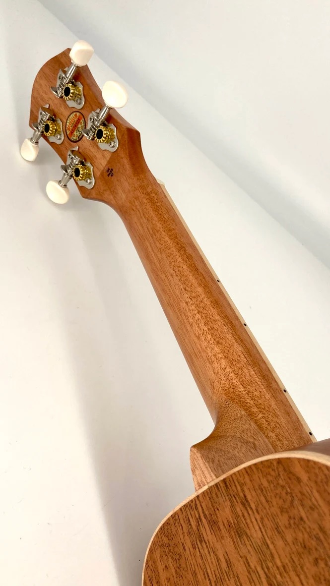 aNueNue US10, living coral