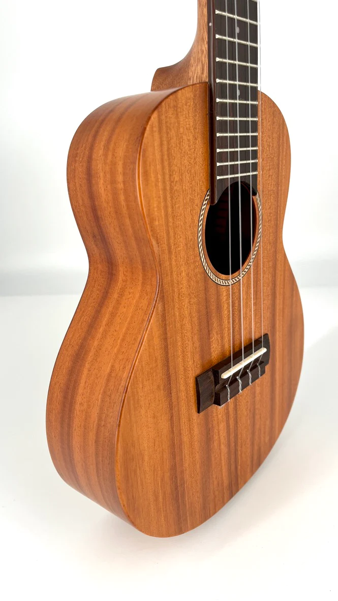 aNueNue C30E Konzert Ukulele mit Tonabnehmer