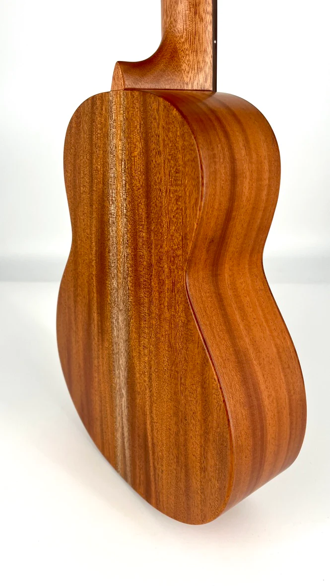 aNueNue C30E Konzert Ukulele mit Tonabnehmer