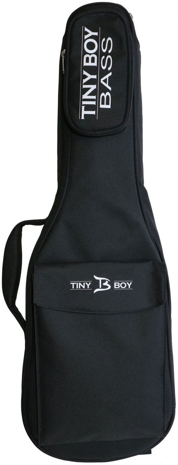 Tiny Bass TBP-2400WH