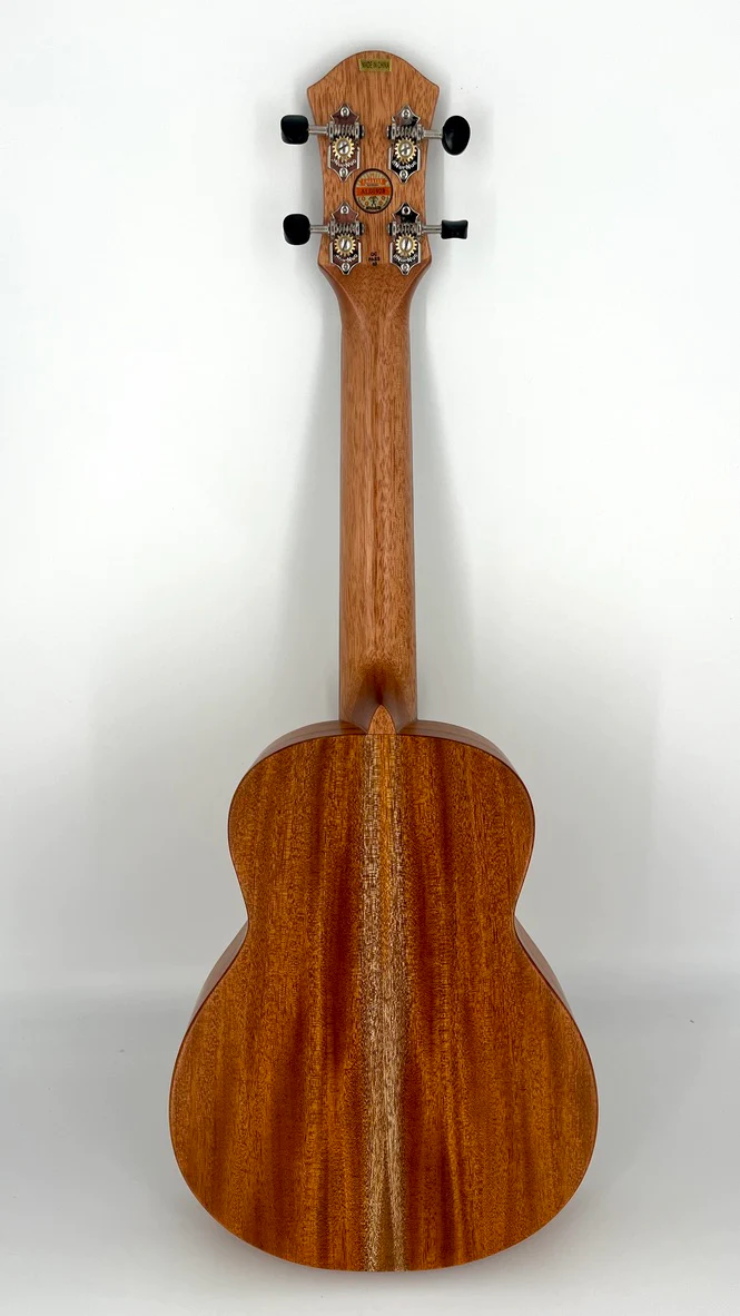 aNueNue C30E Konzert Ukulele mit Tonabnehmer