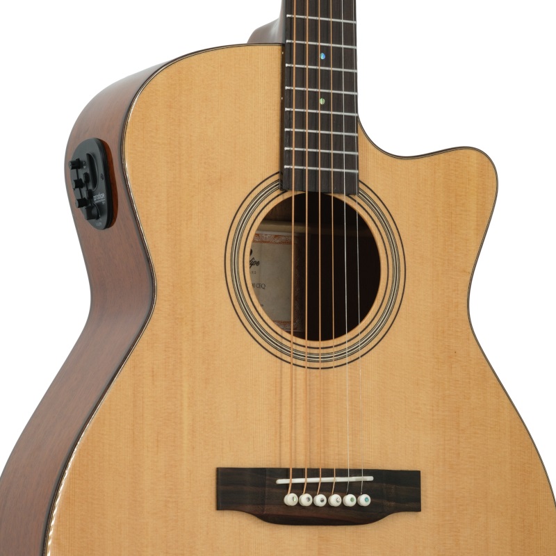 Prodipe Guitar Auditorium SA300 CEQ Prodipe Guitar Auditorium SA300 CEQ