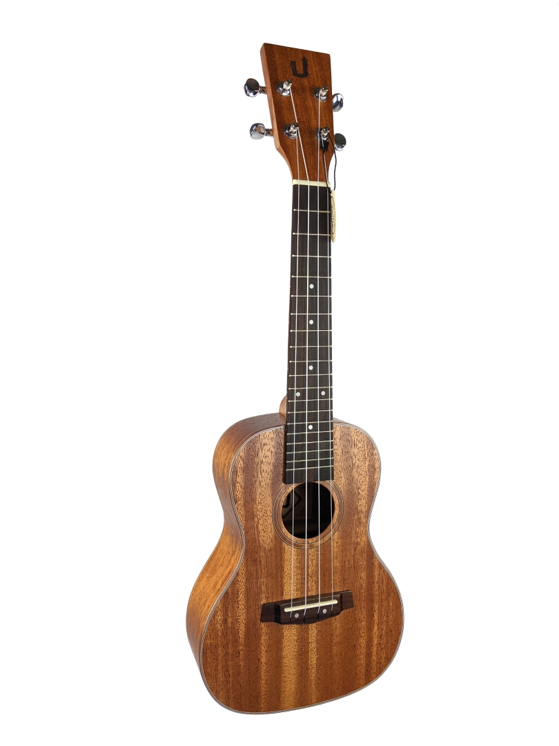 U-Turn Traffic Concert Ukulele