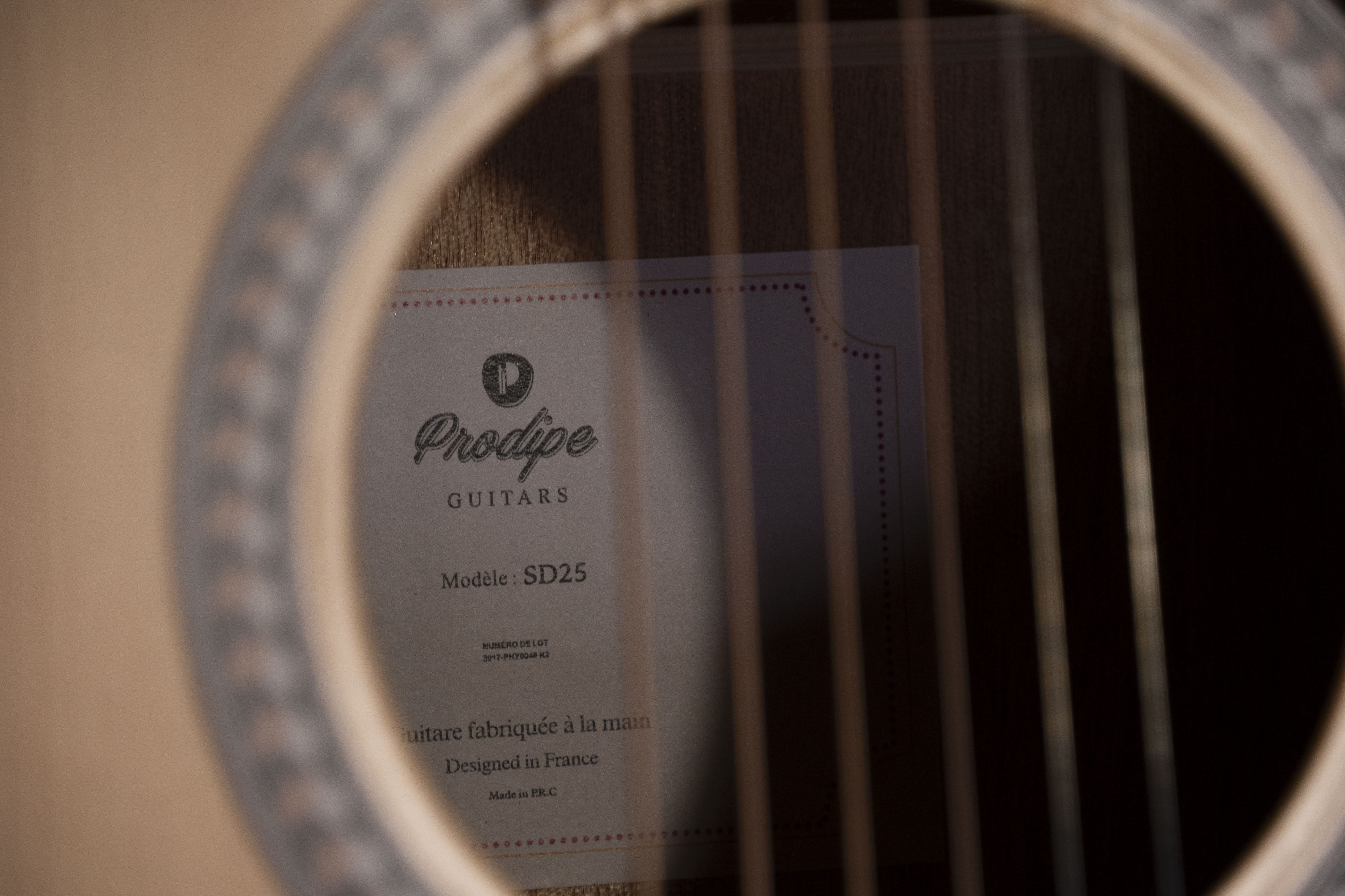 Prodipe guitars SD25 Prodipe guitars SD25