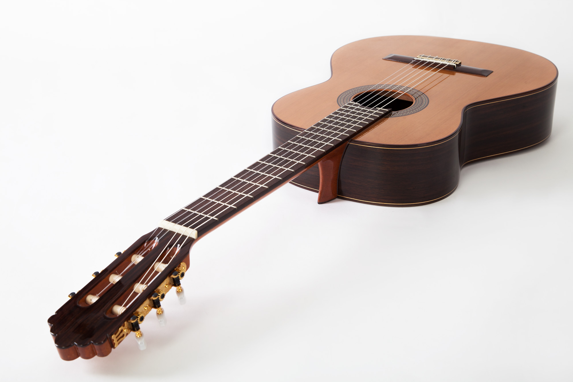 Prodipe Guitars SOLOIST 500 Prodipe Guitars SOLOIST 500