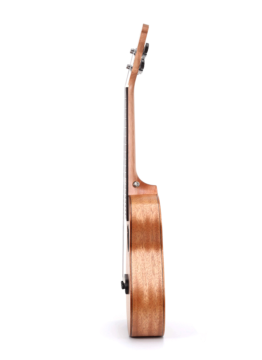Bearlele Woody - Konzert Ukulele inkl. stabilem Gigbag Bearlele Woody - Konzert Ukulele inkl. stabilem Gigbag