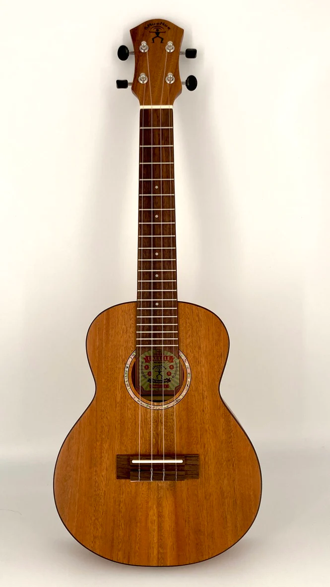 aNueNue C3 Konzert Ukulele 