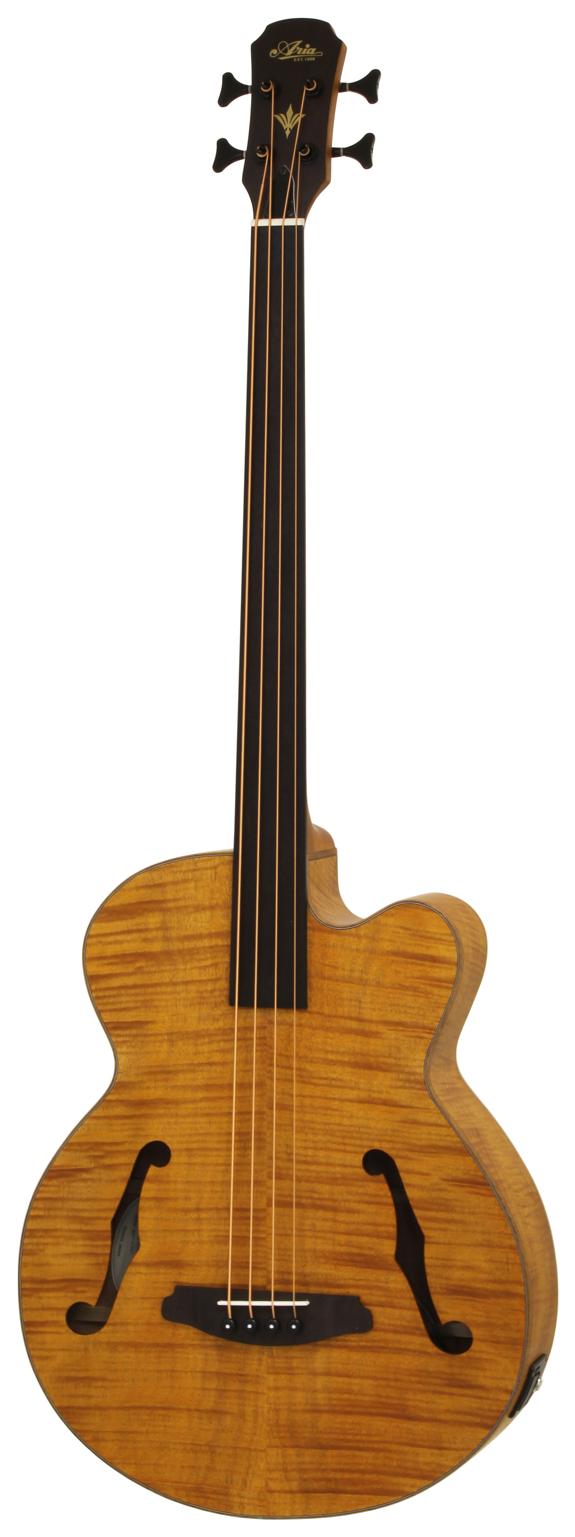 Aria FEB F2/FL, stained brown Aria FEB F2/FL, stained brown