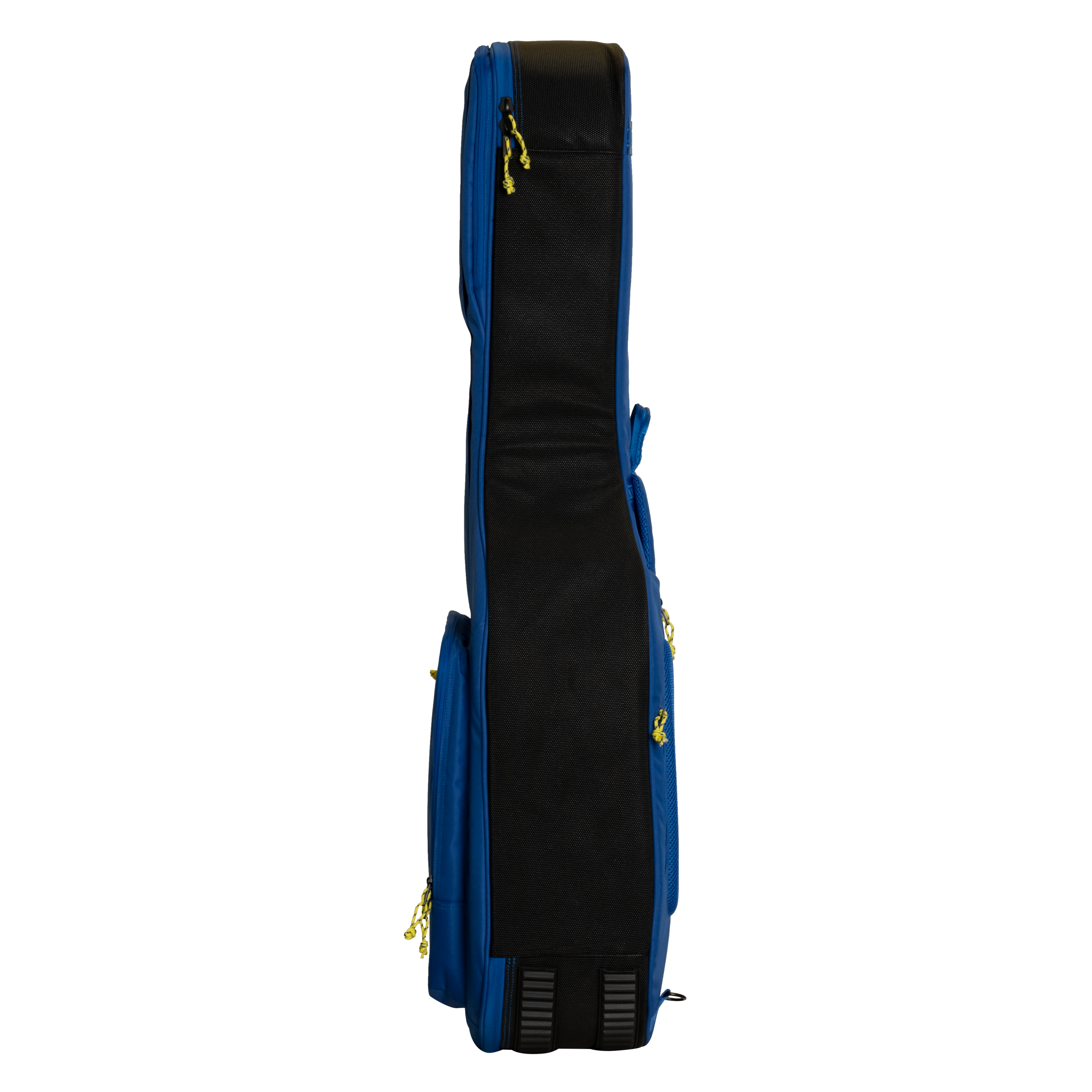 Ritter Gigbag Arosa Dreadnought - SBL