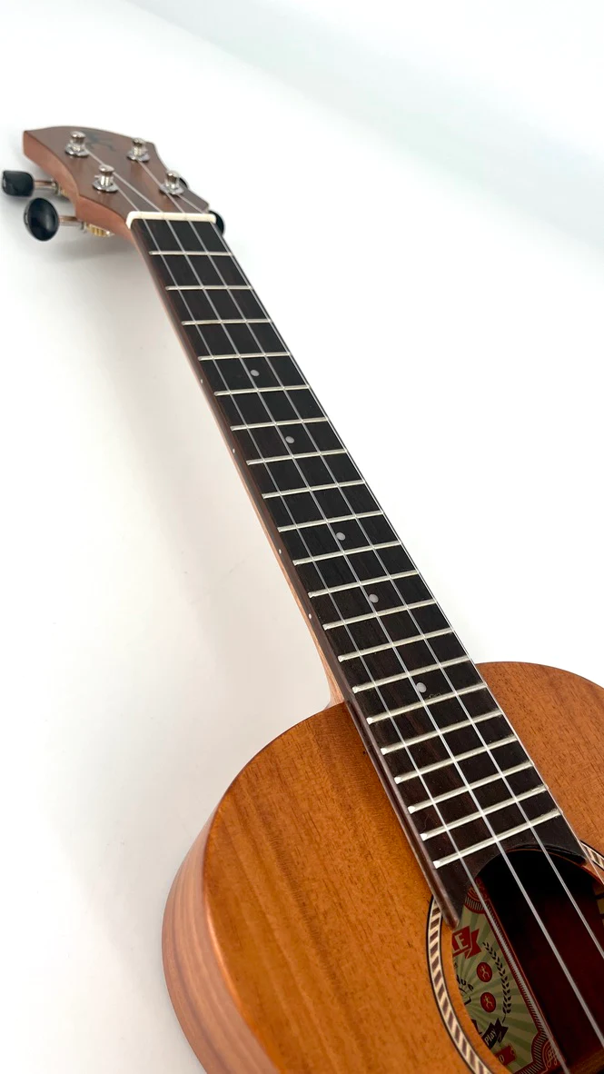 aNueNue C30E Konzert Ukulele mit Tonabnehmer