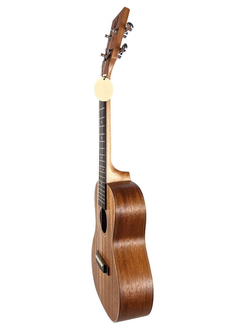 U-Turn Traffic Concert Ukulele